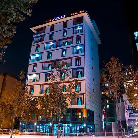 Mugwort Hotel&spa Istanboel