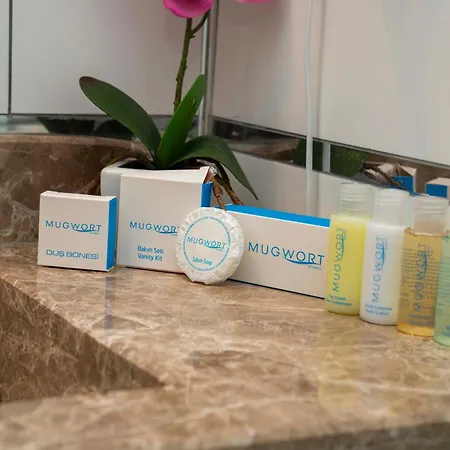 Mugwort & מלון 4*