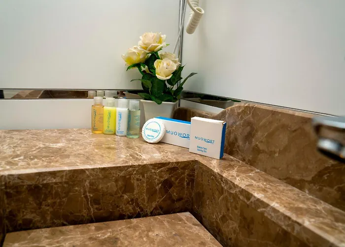 Mugwort Hotel&spa 4* Istanboel