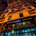 Mugwort & Otel İstanbul