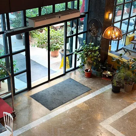 Mugwort & 4* Istanbul