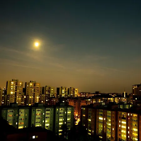 Mugwort & 伊斯坦布尔