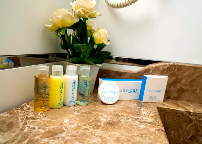 Отель Mugwort & Стамбул